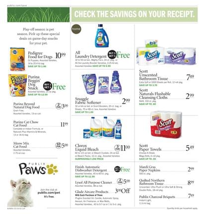 Publix Cleaning Supplies Jan 19