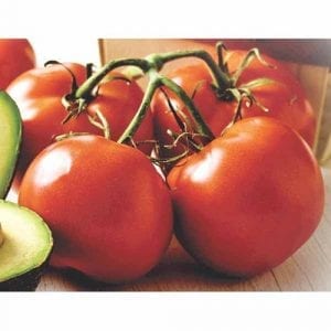 Beefsteak Tomatoes on the Vine