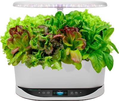 Black Friday Smart Home Deals 2020 - Amazon, Best Buy 2 AeroGarden - Bounty - Heirloom Salad - App Controlled - White Best Buy Black Friday