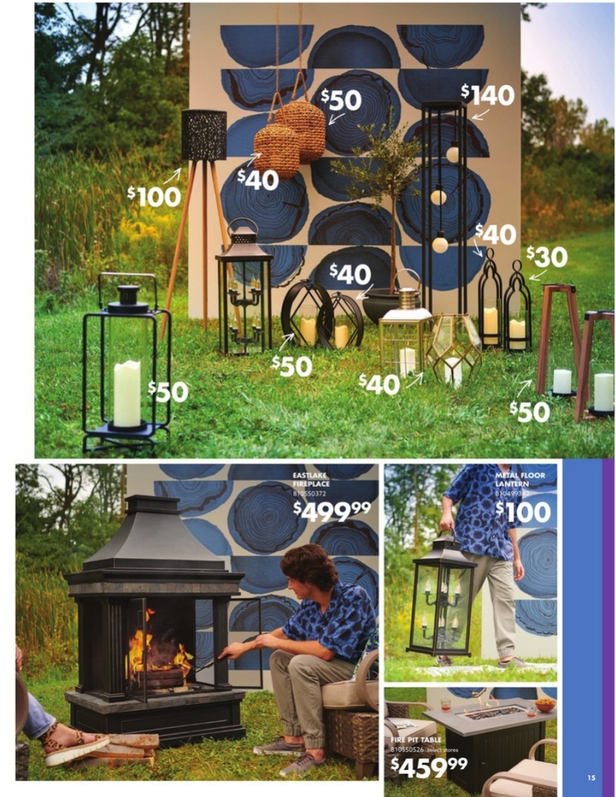 Big Lots Ad page 14
