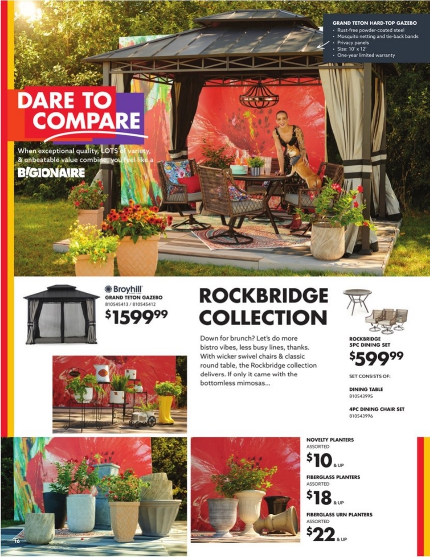 Big Lots Ad page 15