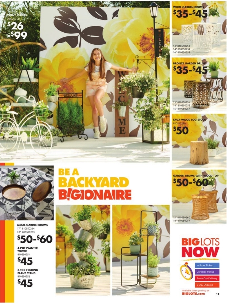 Big Lots Ad page 19