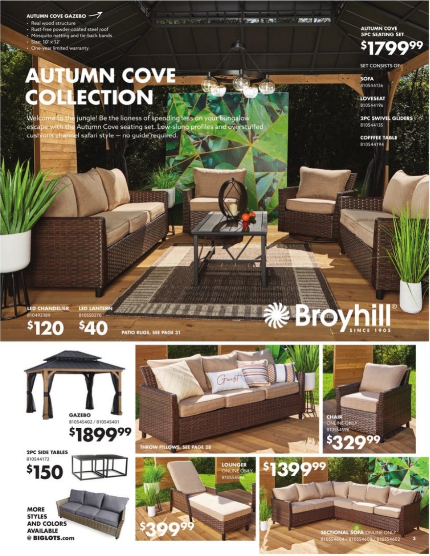 Big Lots Ad page 3