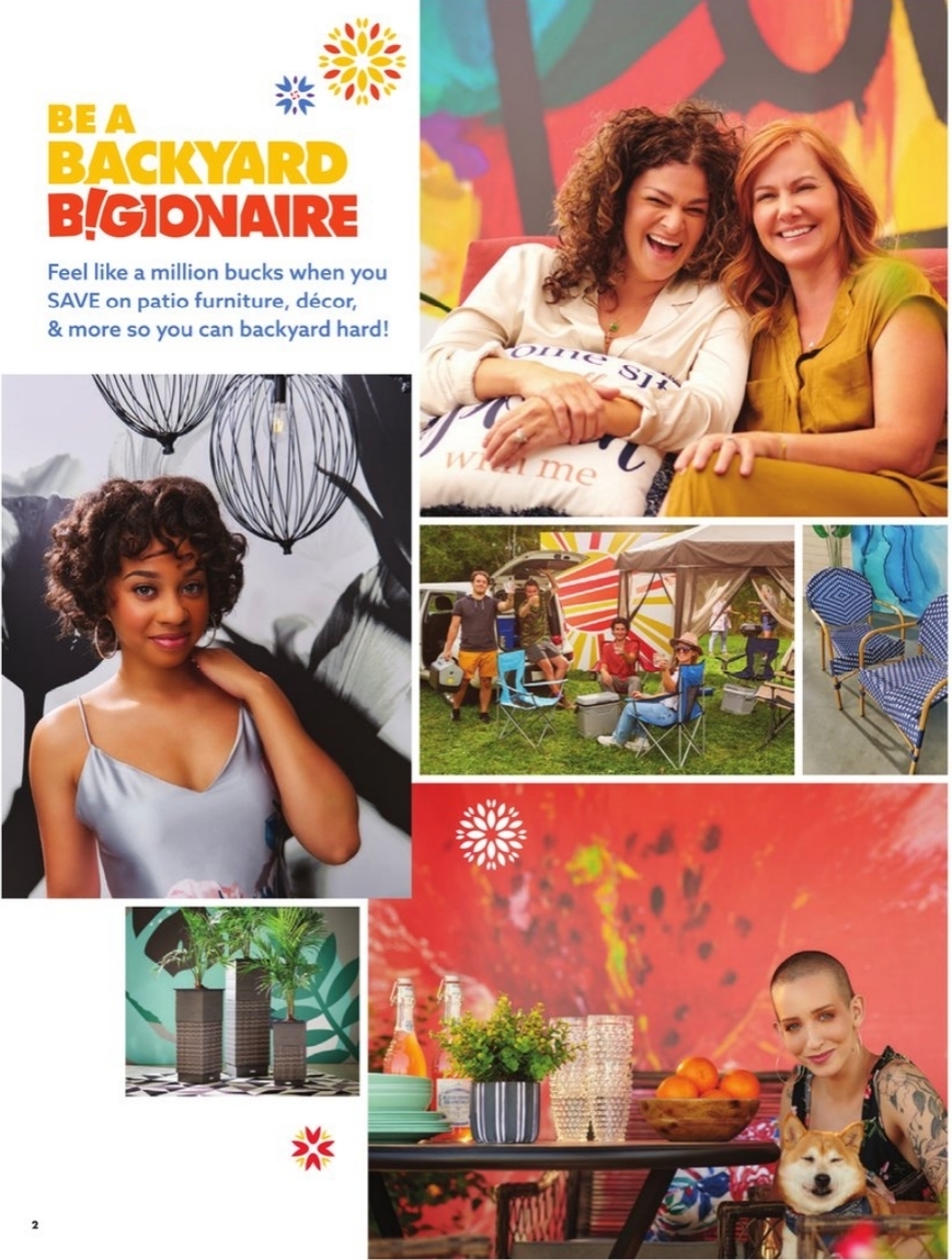 Big Lots Ad page 35