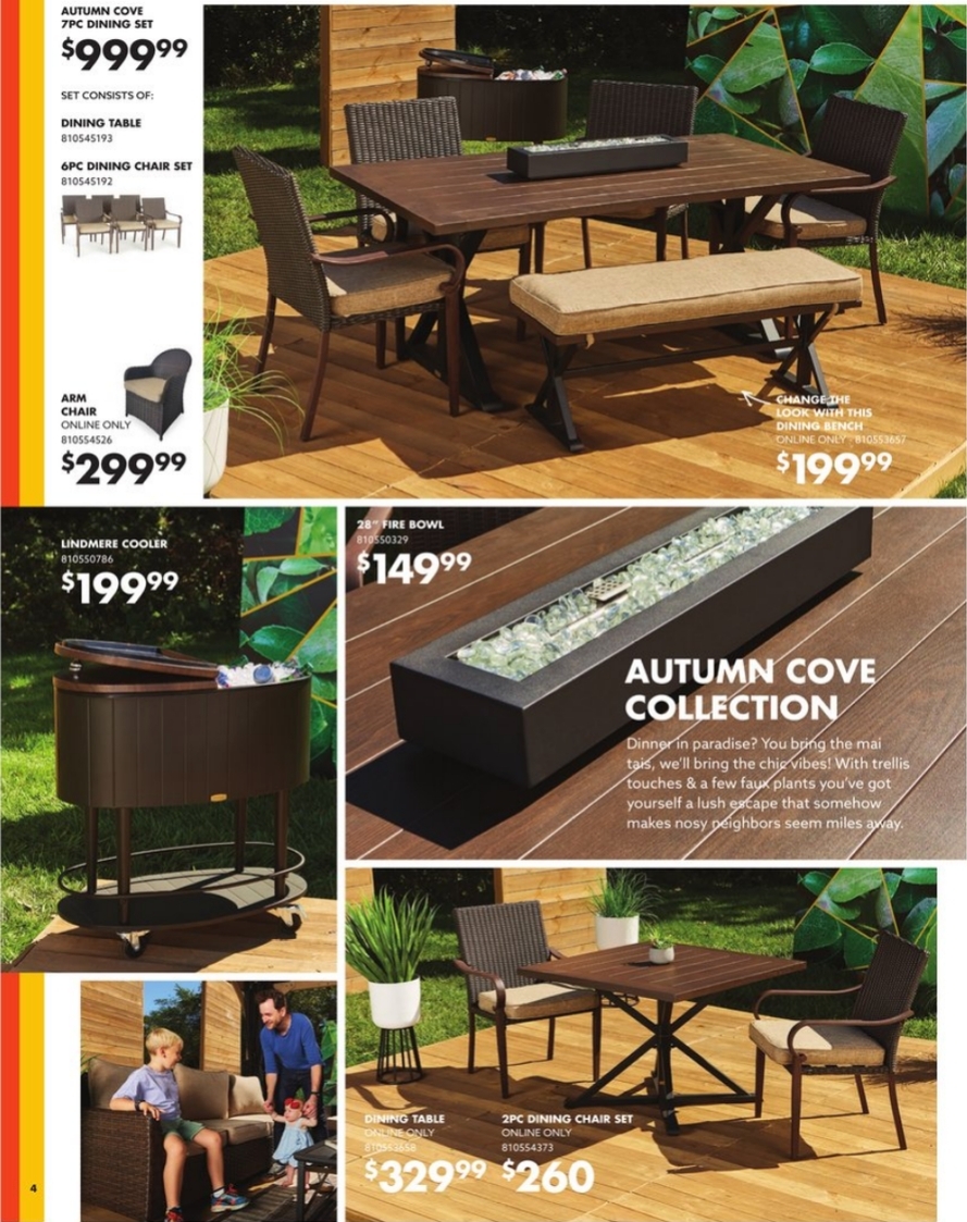 Big Lots Ad page 4