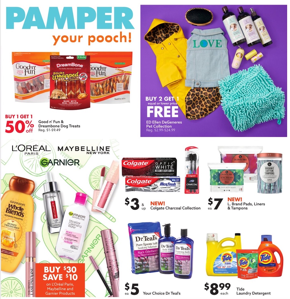 Big Lots Ad page 10