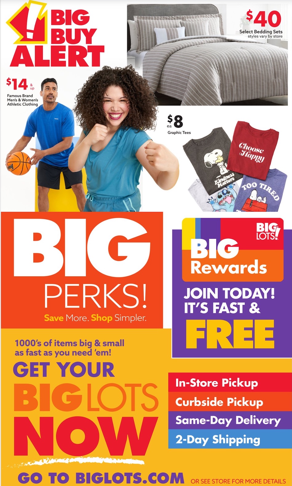 Big Lots Ad page 11