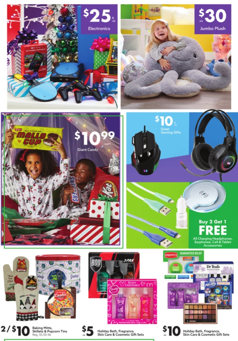 Big Lots Ad page 10