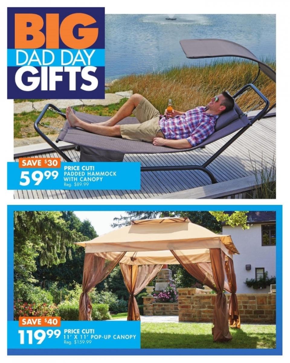 Big Lots Ad page 10