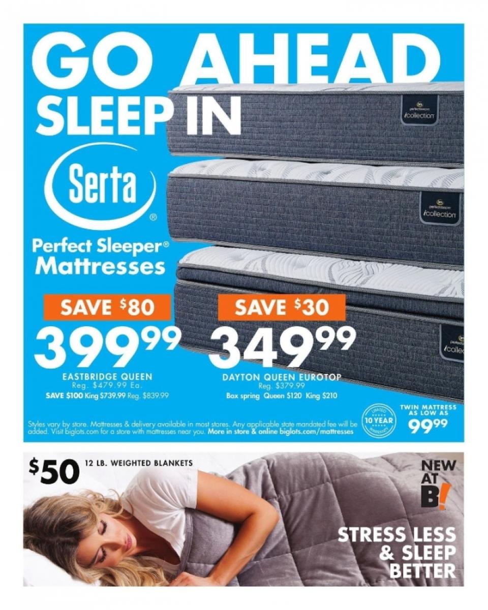 Big Lots Ad page 18