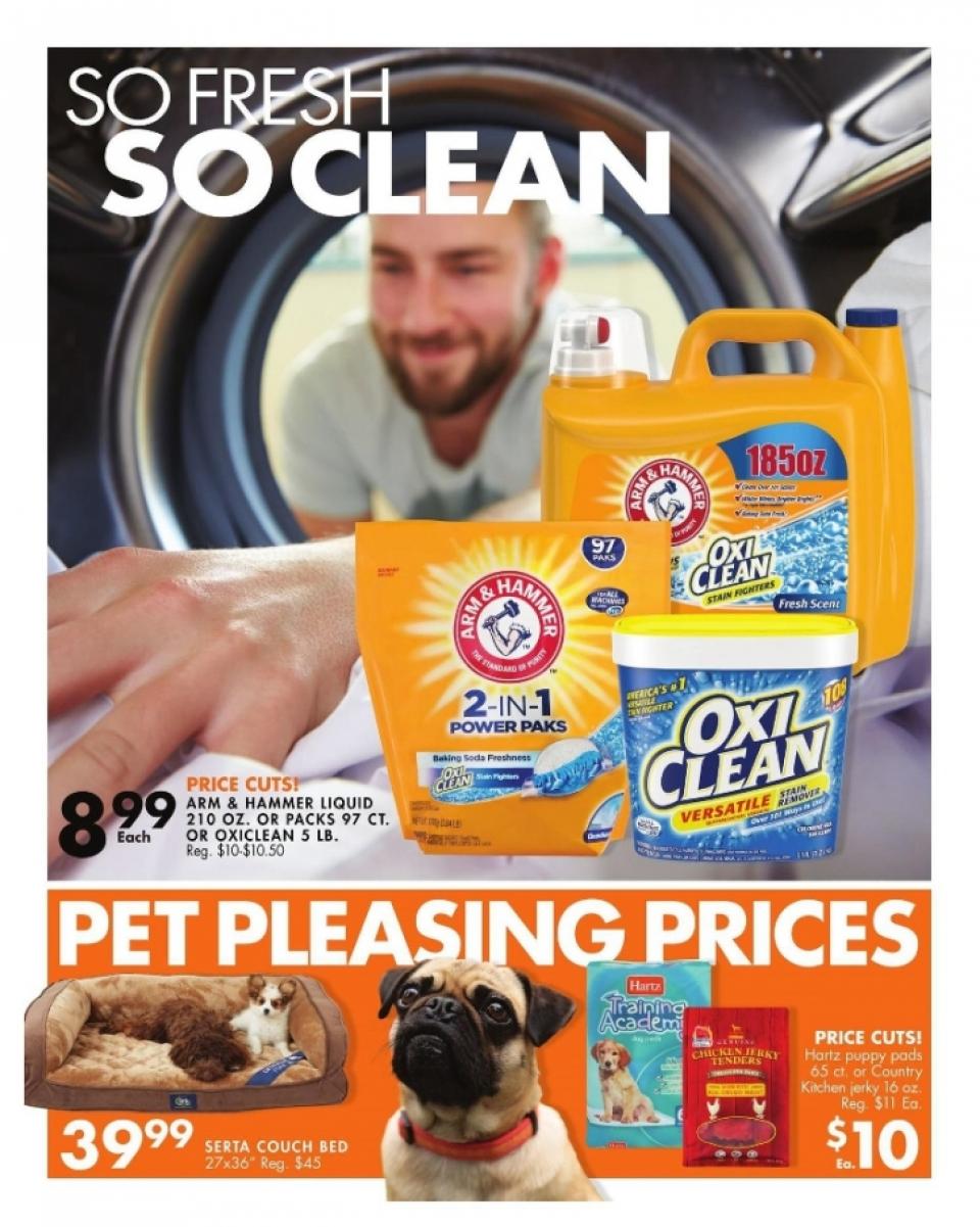 Big Lots Ad page 32