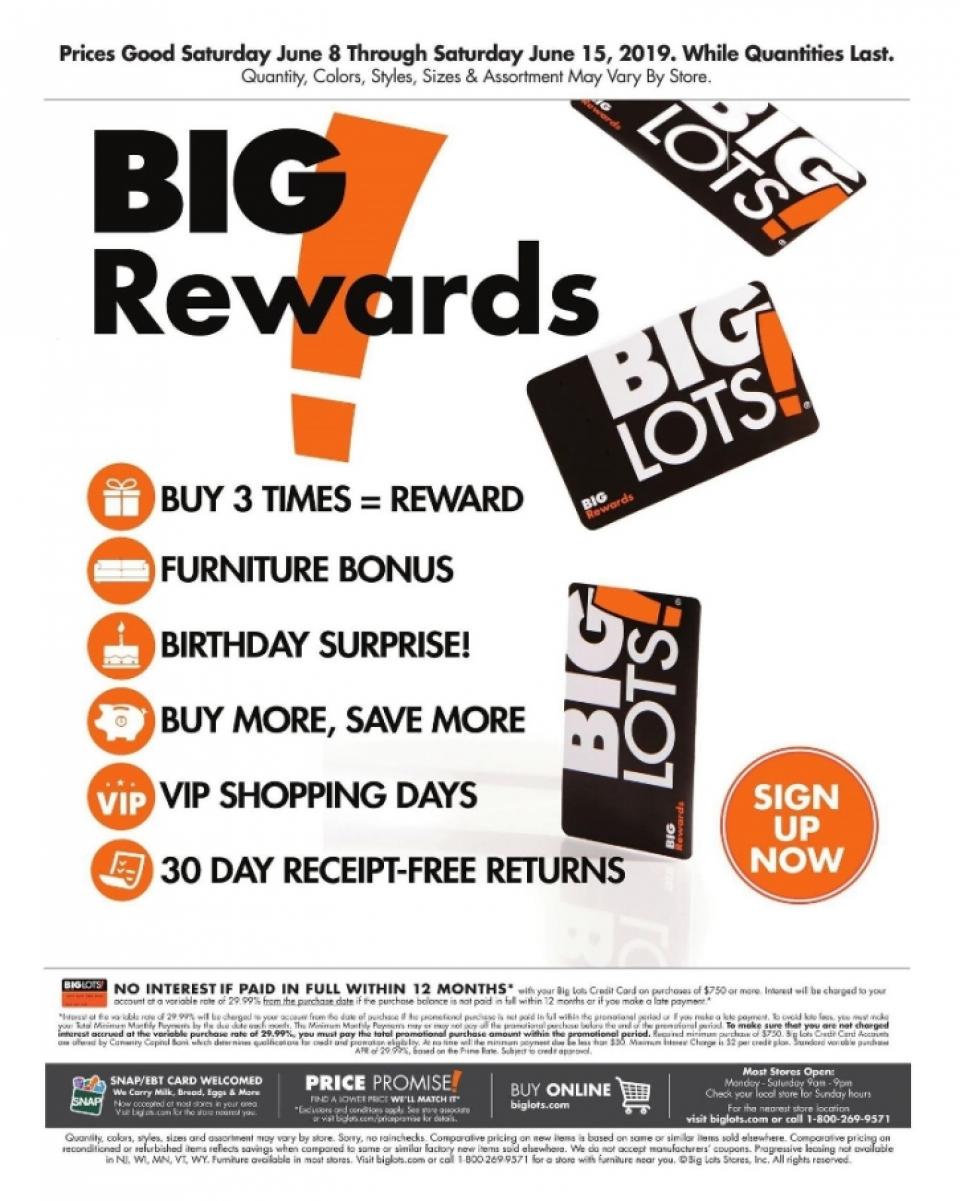 Big Lots Ad page 33