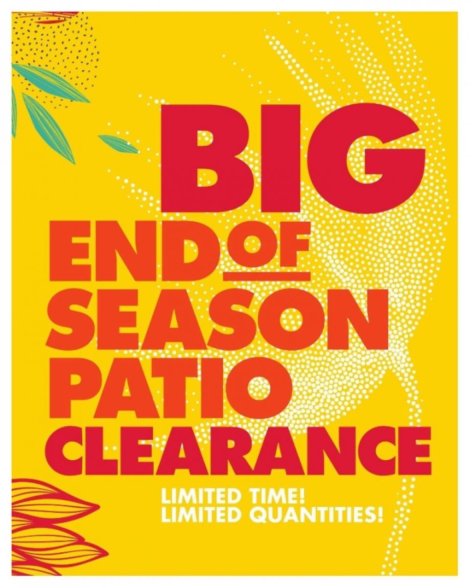 Big Lots Ad page 4