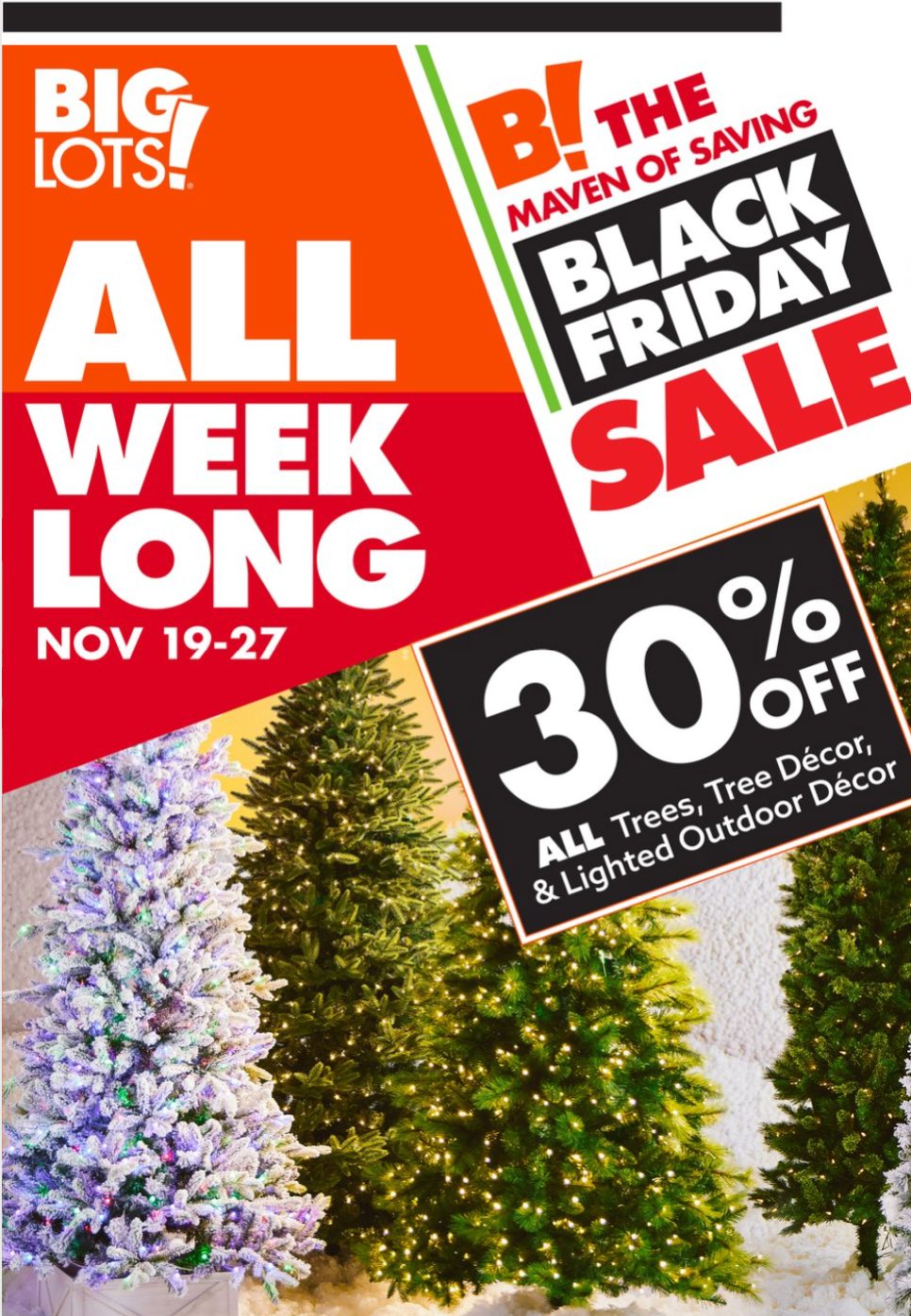 Big Lots Ad