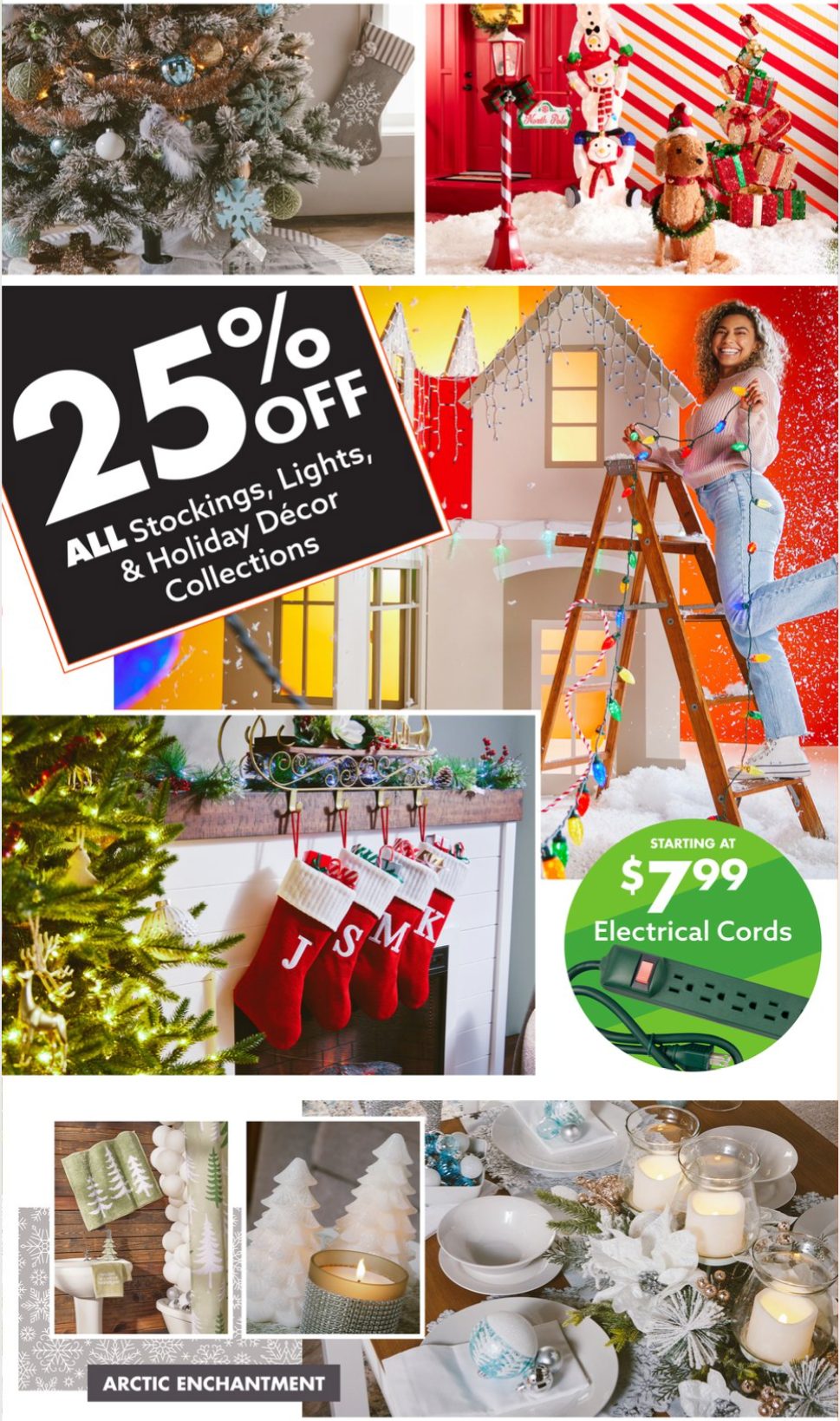 Big Lots Ad page 3