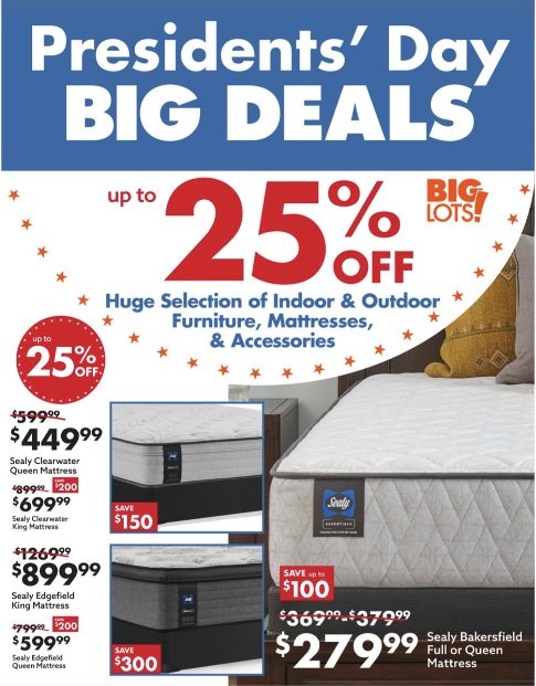 Big Lots Ad