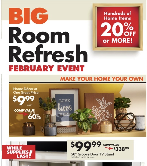 Big Lots Ad page 13