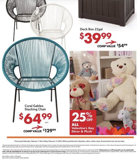 Big Lots Ad page 21
