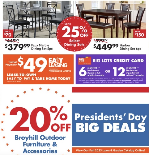 Big Lots Ad page 8