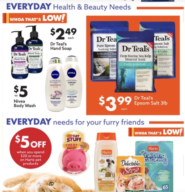 Big Lots Ad page 17