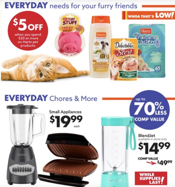 Big Lots Ad page 18