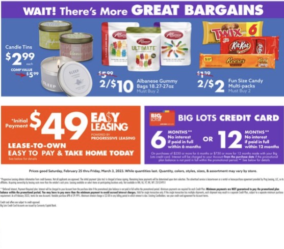 Big Lots Ad page 25
