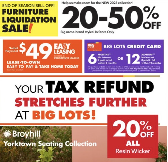 Big Lots Ad page 8