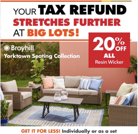 Big Lots Ad page 9