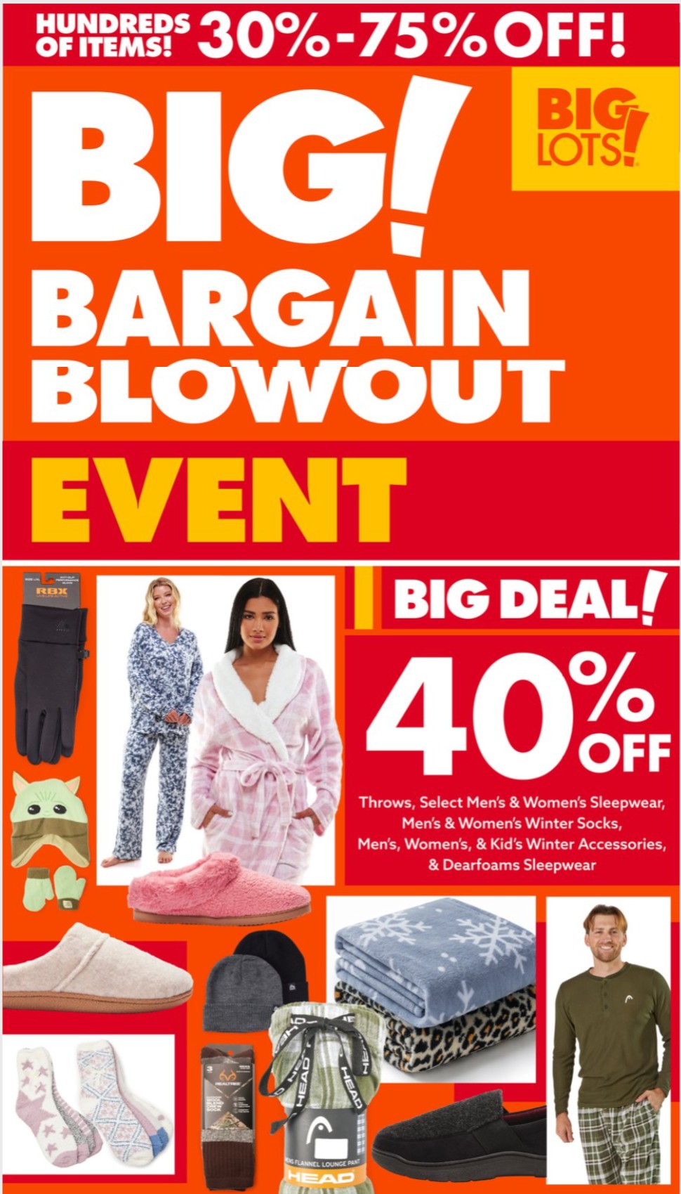Big Lots Ad