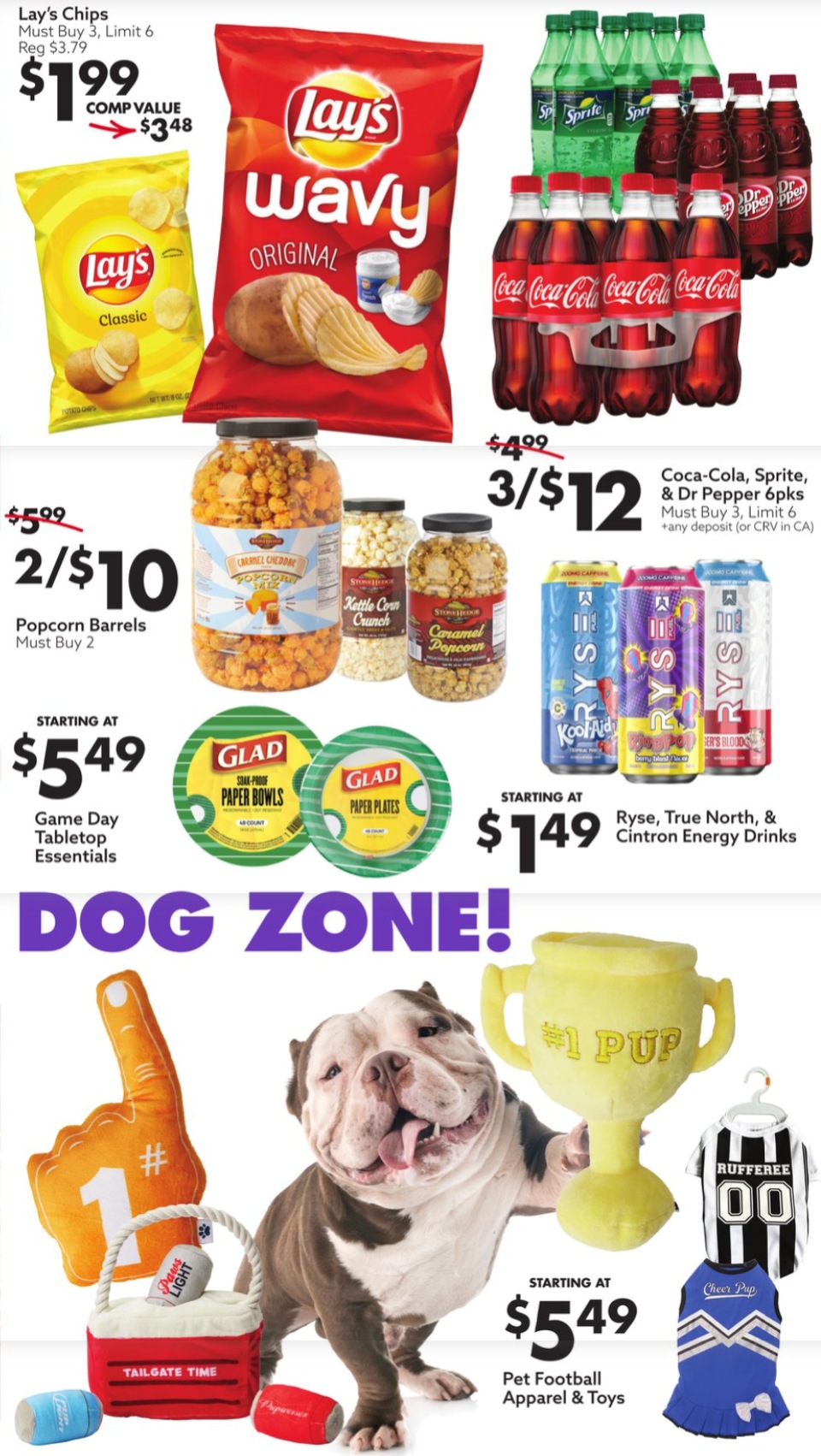 Big Lots Ad page 10