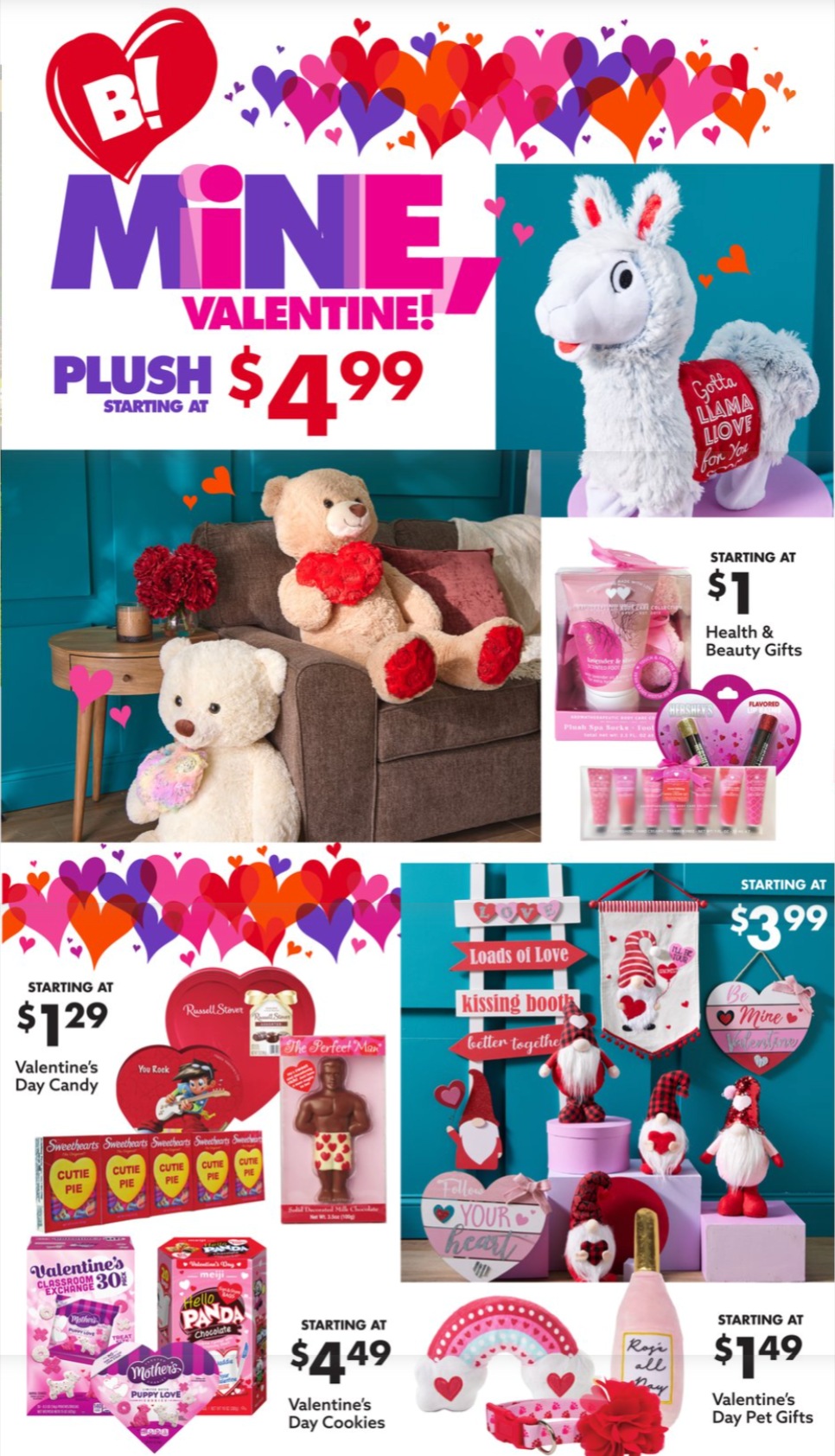 Big Lots Ad page 8