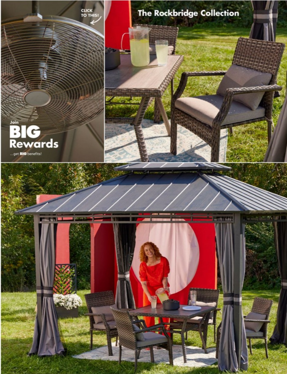 Big Lots Ad page 11