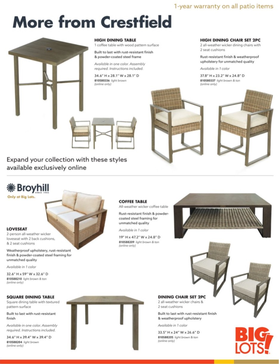 Big Lots Ad page 17