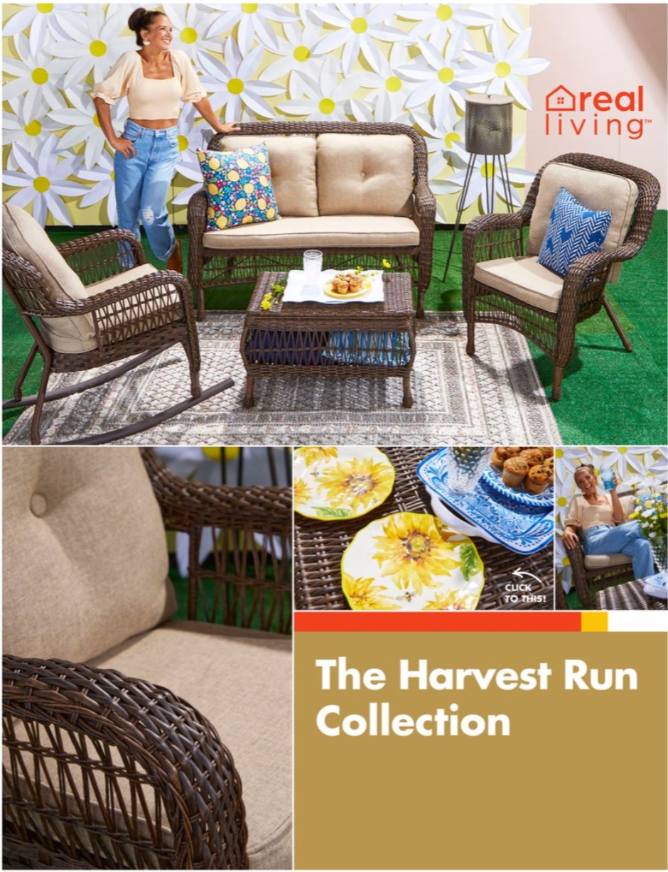Big Lots Ad page 18