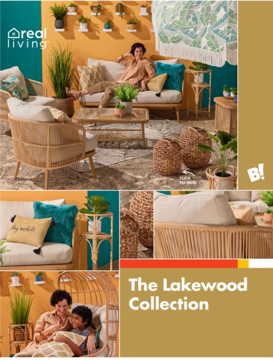 Big Lots Ad page 28