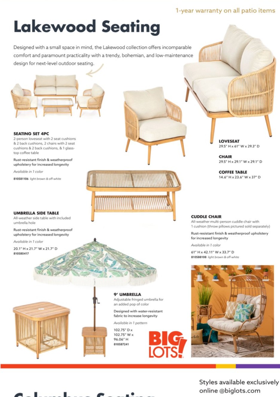 Big Lots Ad page 29