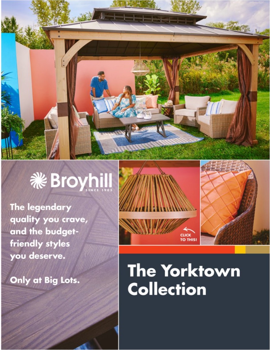 Big Lots Ad page 3