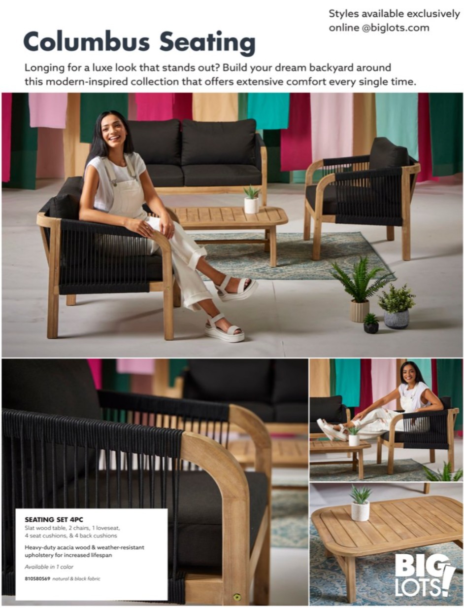 Big Lots Ad page 30