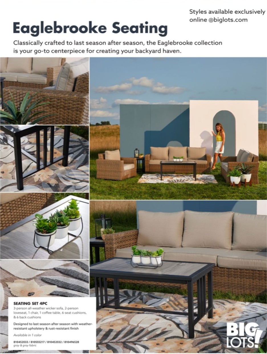 Big Lots Ad page 31