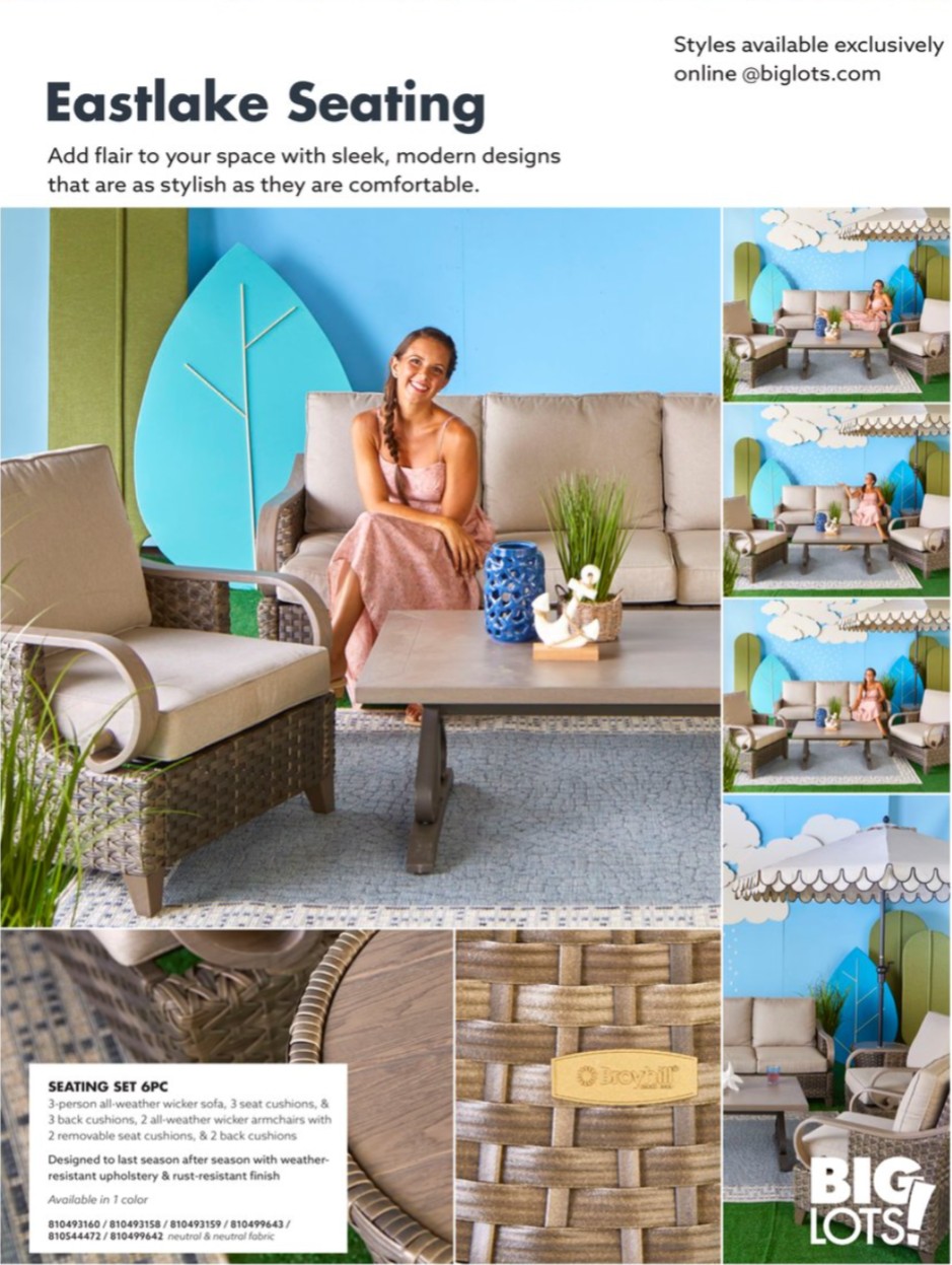 Big Lots Ad page 32