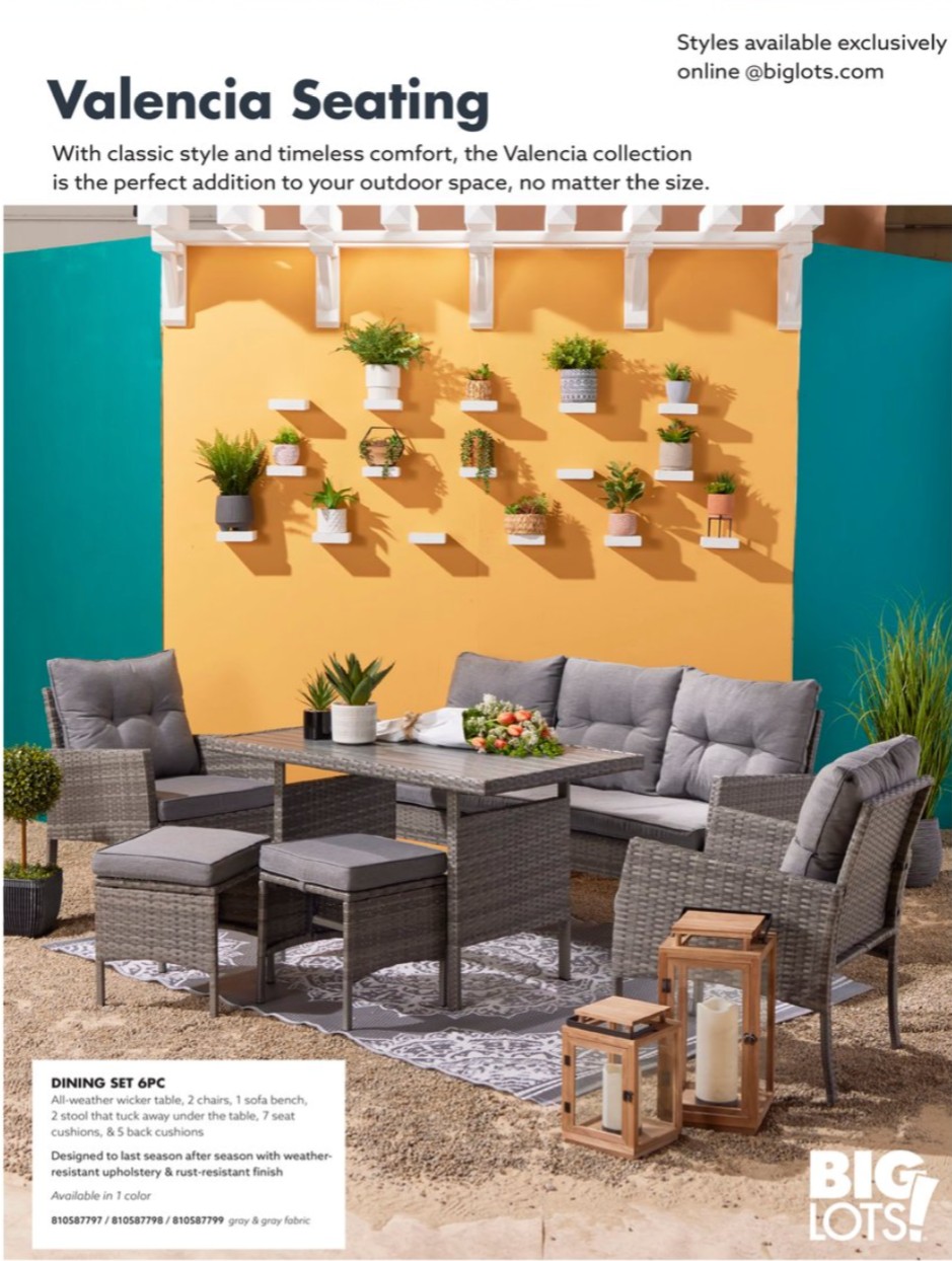 Big Lots Ad page 33