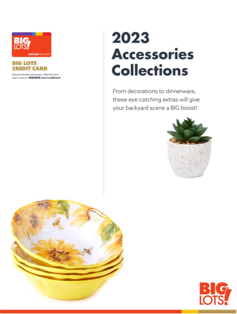 Big Lots Ad page 34