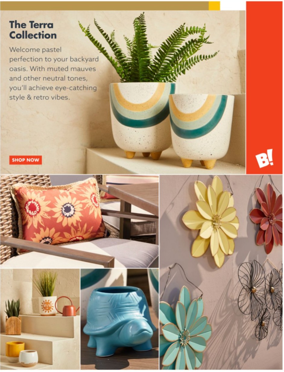 Big Lots Ad page 35