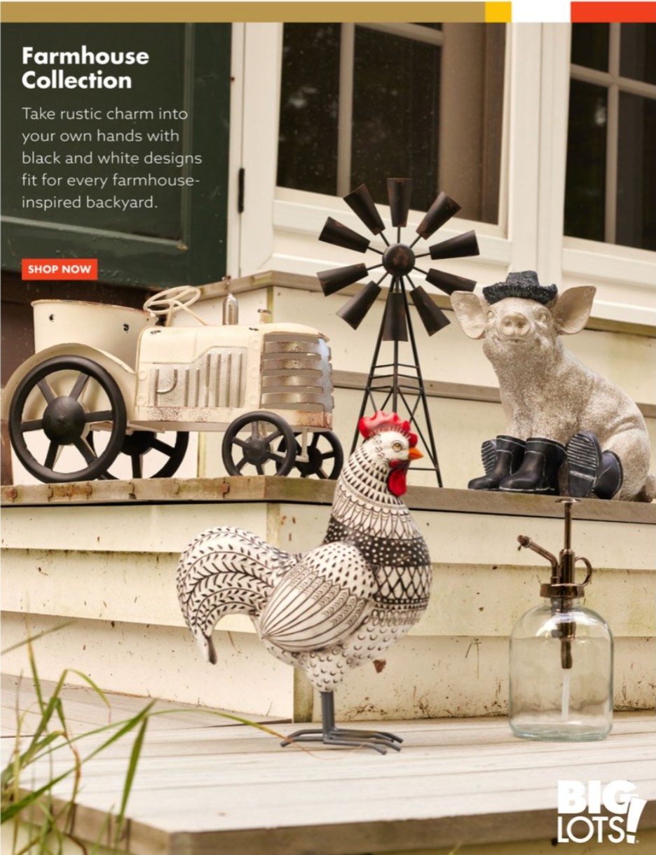 Big Lots Ad page 36