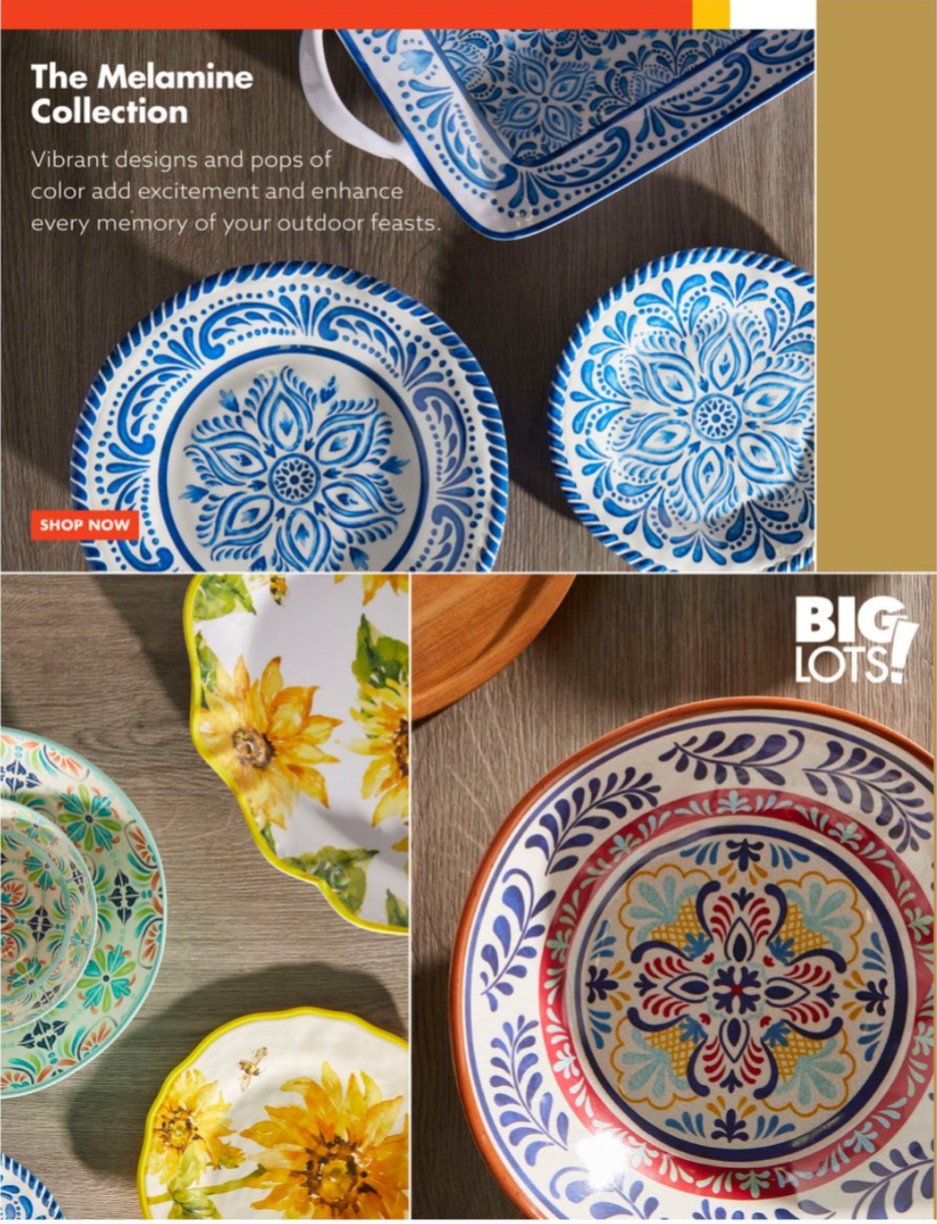 Big Lots Ad page 39