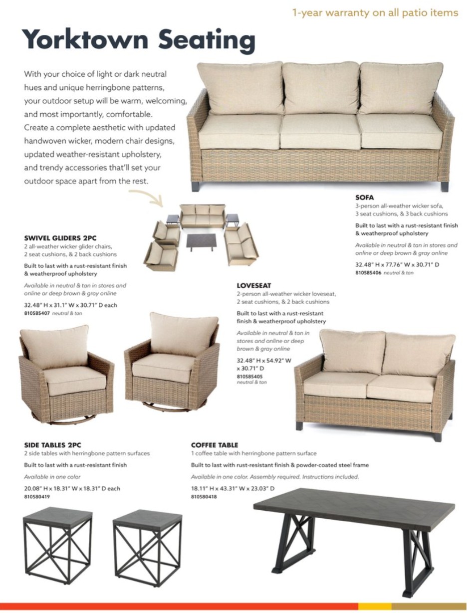 Big Lots Ad page 5