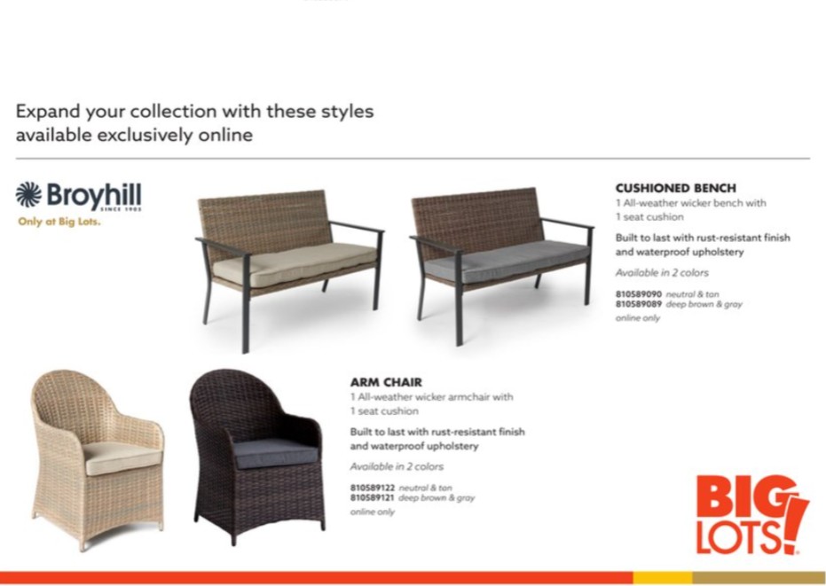 Big Lots Ad page 9