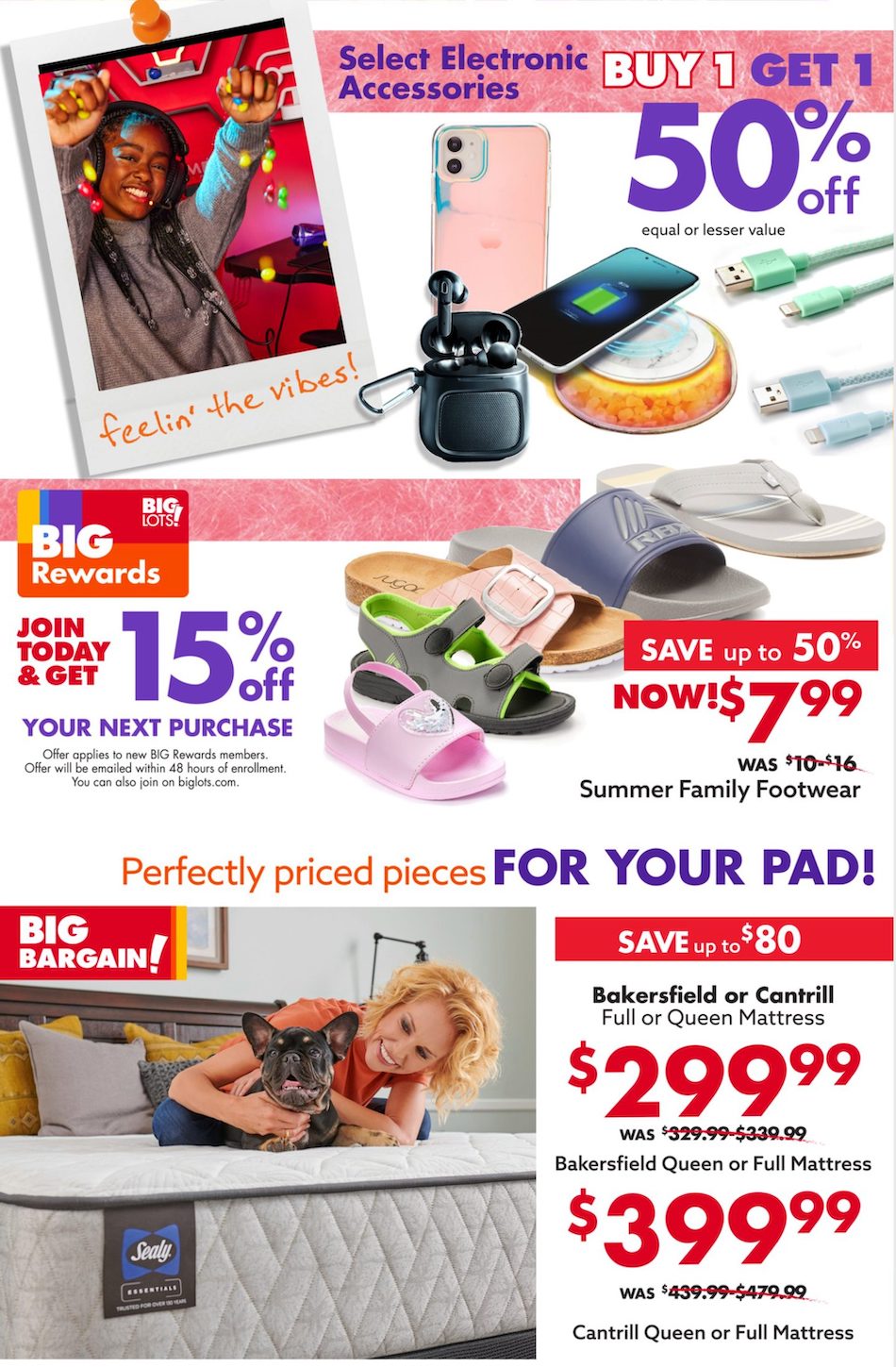 Big Lots Ad page 6