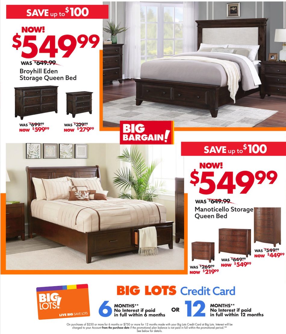 Big Lots Ad page 7