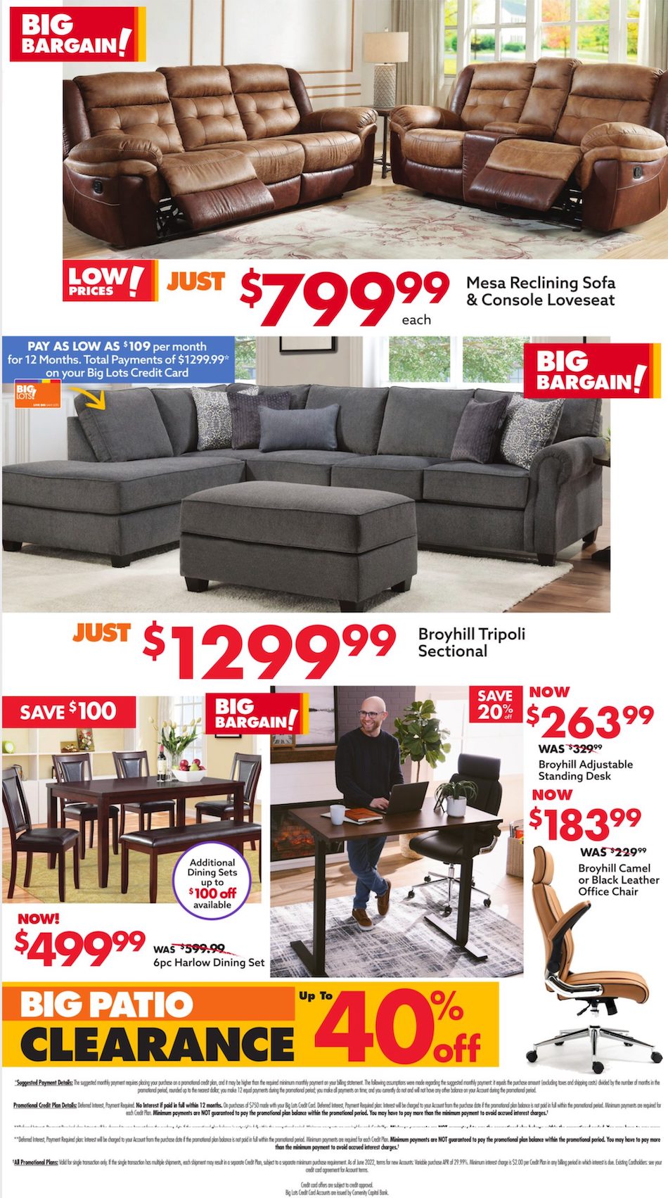Big Lots Ad page 8